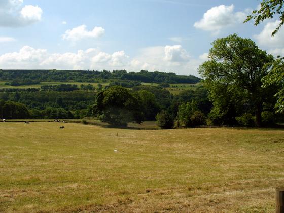Rural Greetland